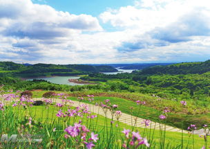 探索旅游景區(qū)建設(shè)管理新路徑 創(chuàng)新旅行社服務(wù)網(wǎng)點與旅游招徠模式