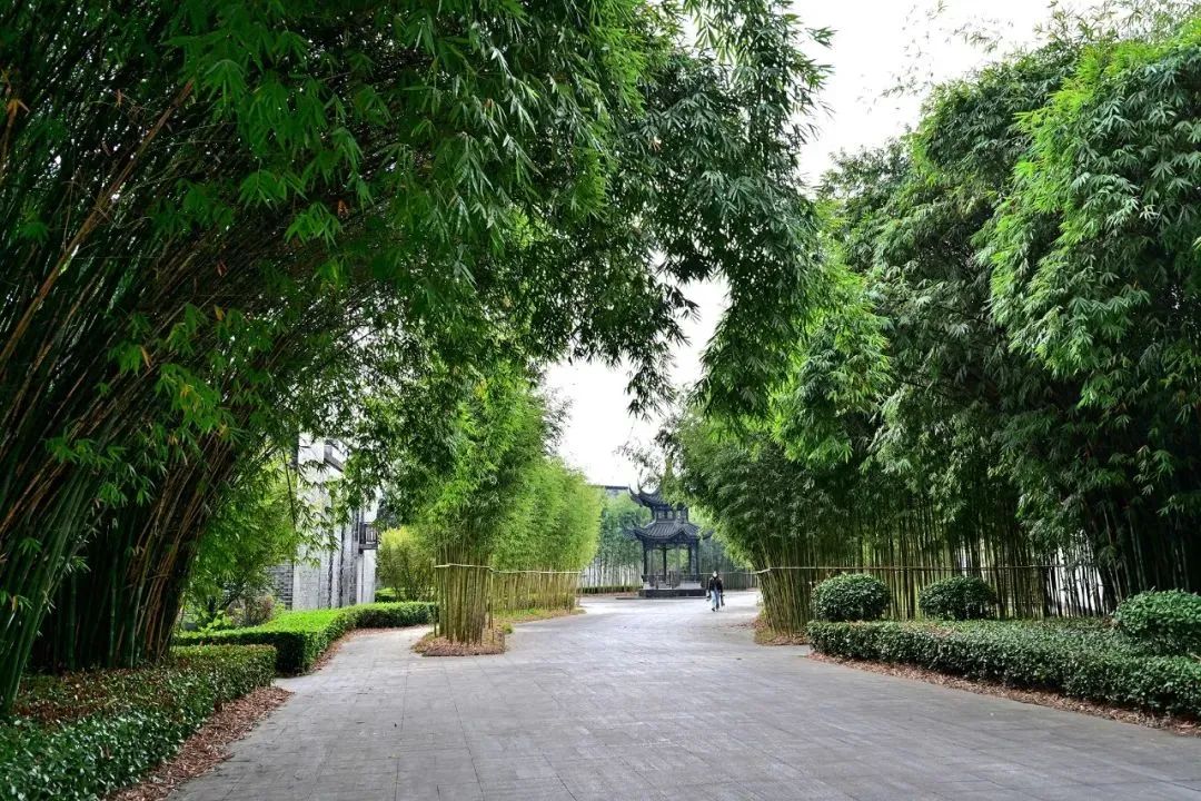 白云邊連續(xù)五年榮登旅行社服務(wù)網(wǎng)點(diǎn)旅游招徠正面清單，彰顯卓越服務(wù)品質(zhì)